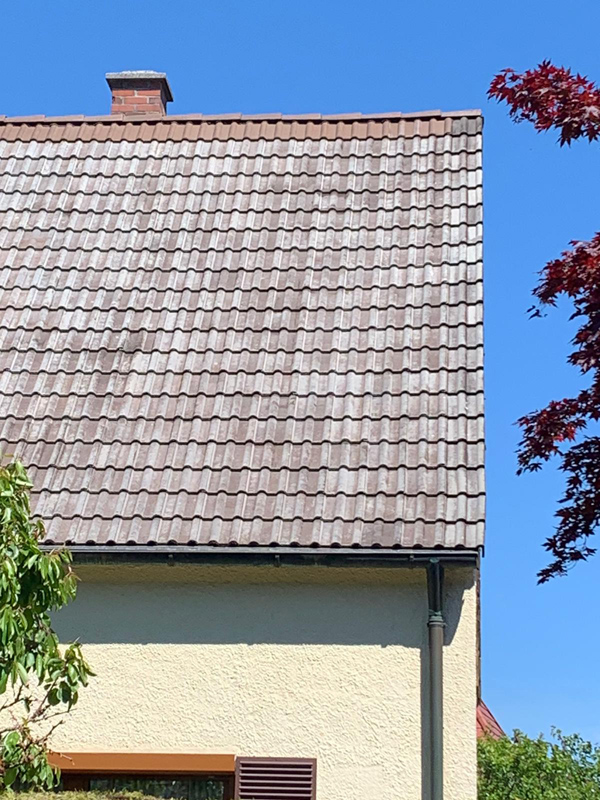 Firma Kühntopf - Sanierungen & Reinigungen